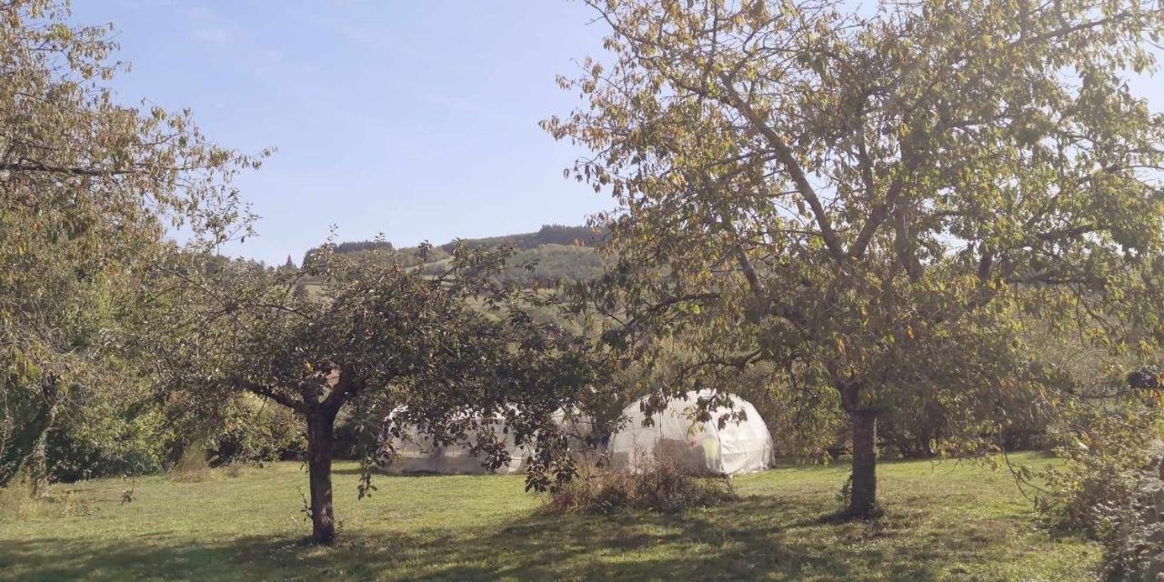 Petit Gite Ou Chambre D'Hotes 2/4 Personnes Buffieres Kültér fotó